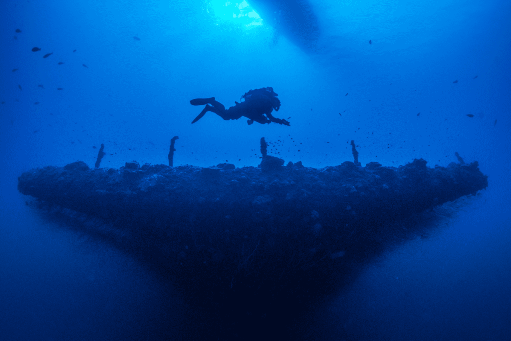 Richard Lundgren diving  in Bikini Atoll